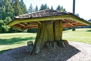 Capilano Shelter